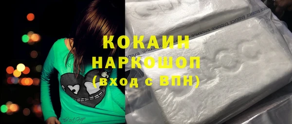 шишки Абаза
