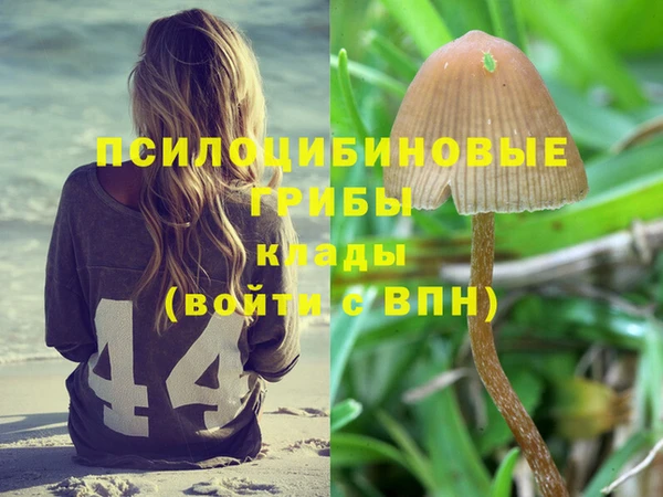 метадон Алексин